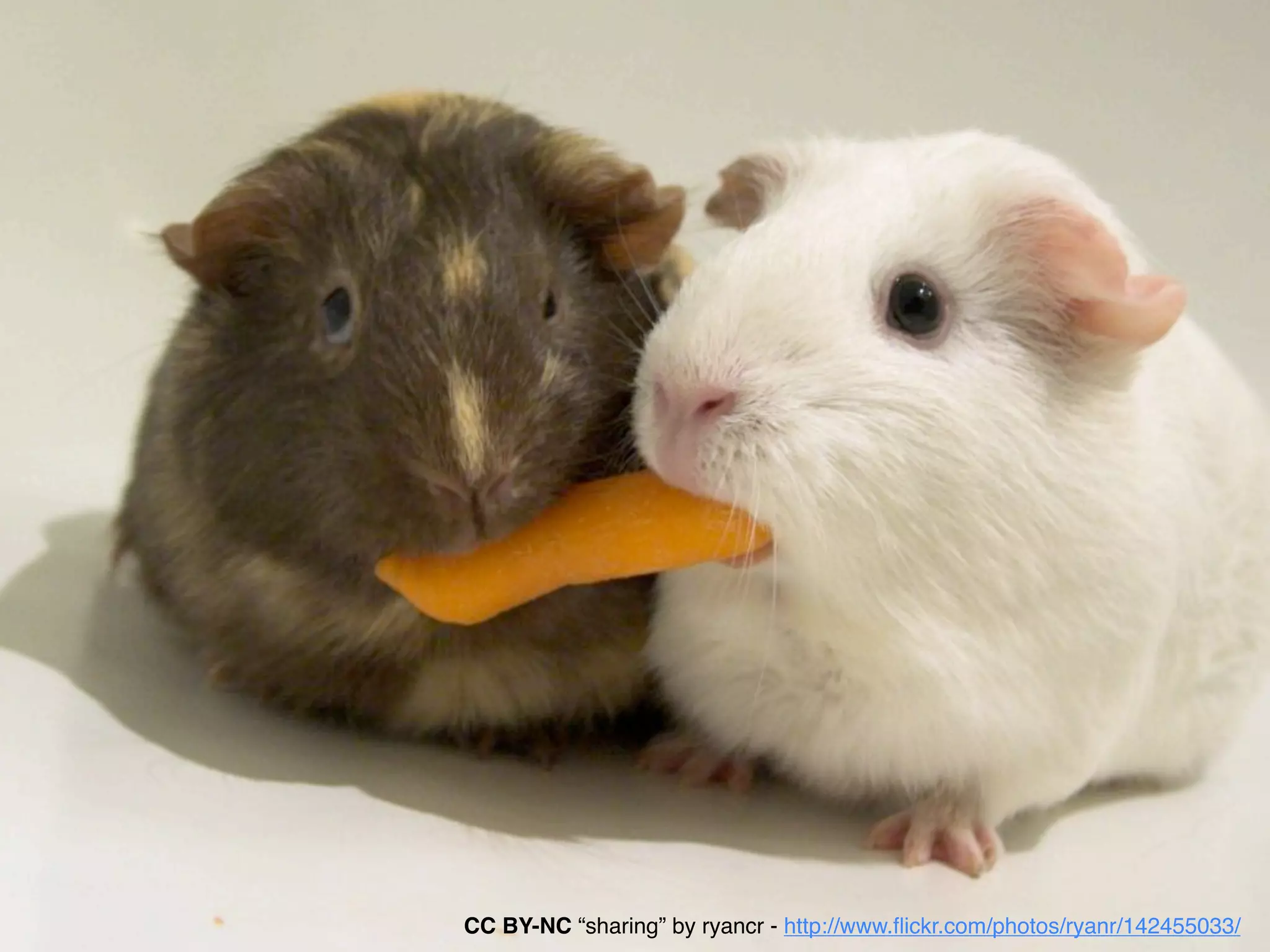 CC BY-NC “sharing” by ryancr - http://www.ﬂickr.com/photos/ryanr/142455033/
 