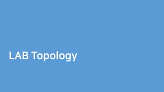 LAB Topology
 