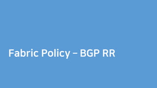 Fabric Policy – BGP RR
 
