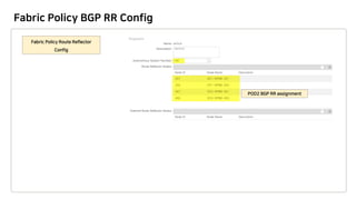 Fabric Policy BGP RR Config
 
