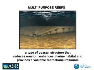 MULTI-PURPOSE REEFS
a type of coastal structure that
reduces erosion, enhances marine habitat and
provides a valuable recreational resource.
 