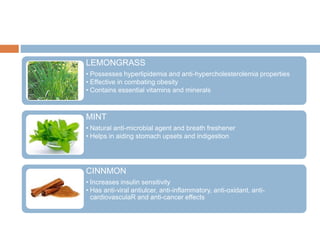 LEMONGRASS
• Possesses hyperlipidemia and anti-hypercholesterolemia properties
• Effective in combating obesity
• Contains essential vitamins and minerals
MINT
• Natural anti-microbial agent and breath freshener
• Helps in aiding stomach upsets and indigestion
CINNMON
• Increases insulin sensitivity
• Has anti-viral antiulcer, anti-inflammatory, anti-oxidant, anti-
cardiovasculaR and anti-cancer effects
 