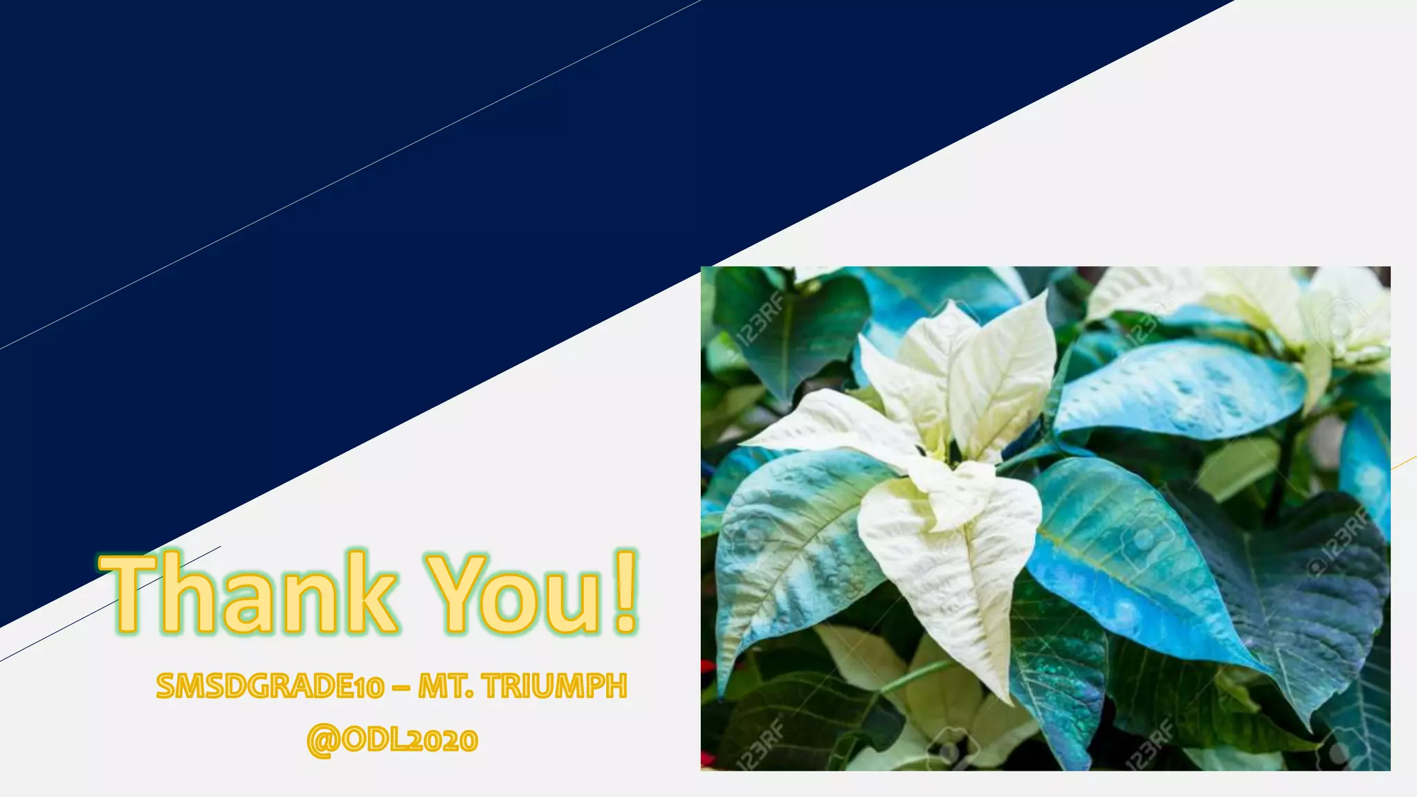 Multipying polynomial functions