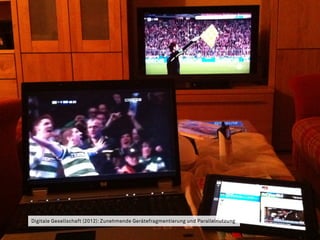 Digitale Gesellschaft (2012): Zunehmende Gerätefragmentierung und Parallelnutzung
 