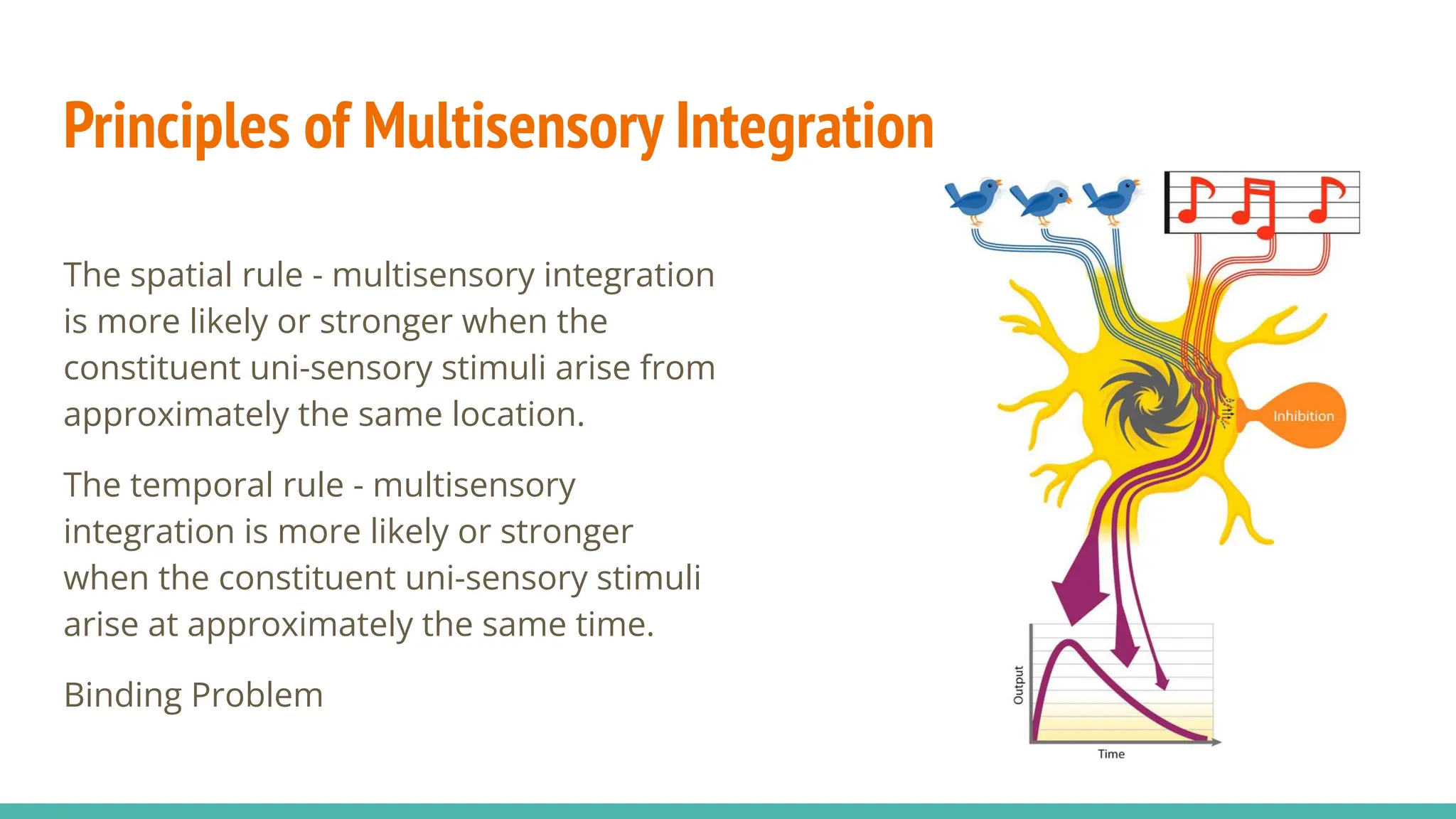 Multisensory Integration Master Level Lecture Pdf