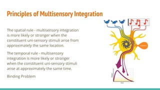 Principles of Multisensory Integration
The spatial rule - multisensory integration
is more likely or stronger when the
constituent uni-sensory stimuli arise from
approximately the same location.
The temporal rule - multisensory
integration is more likely or stronger
when the constituent uni-sensory stimuli
arise at approximately the same time.
Binding Problem
 