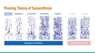 Pruning Theory of Synaesthesia
 
