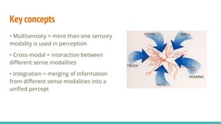 Key concepts
• Multisensory = more than one sensory
modality is used in perception
• Cross-modal = interaction between
diﬀerent sense modalities
• Integration = merging of information
from diﬀerent sense modalities into a
uniﬁed percept
 