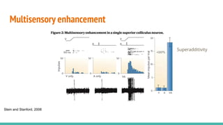 Multisensory enhancement
Superadditivity
Stein and Stanford, 2008
 