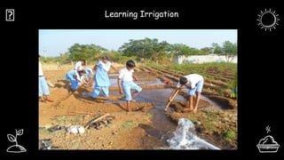Learning Irrigation
🔨
 