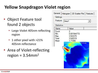 Videometer Larvae Multispectral imaging in Plant Sciences with VideometerLab 3 | PDF