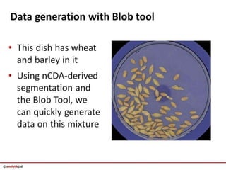 Videometer Larvae Multispectral imaging in Plant Sciences with VideometerLab 3 | PDF