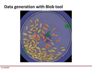 Videometer Larvae Multispectral imaging in Plant Sciences with VideometerLab 3 | PDF