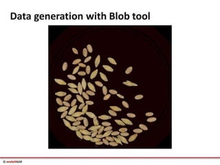 Videometer Larvae Multispectral imaging in Plant Sciences with VideometerLab 3 | PDF