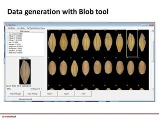 Videometer Larvae Multispectral imaging in Plant Sciences with VideometerLab 3 | PDF