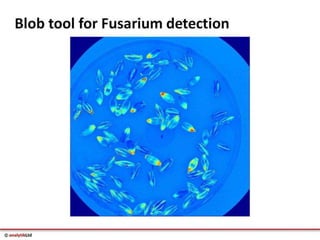Videometer Larvae Multispectral imaging in Plant Sciences with VideometerLab 3 | PDF