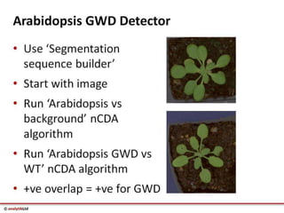 Videometer Larvae Multispectral imaging in Plant Sciences with VideometerLab 3 | PDF