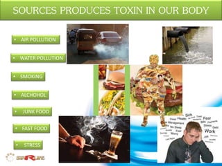 SOURCES PRODUCES TOXIN IN OUR BODY
• AIR POLLUTION
• JUNK FOOD
• SMOKING
• ALCHOHOL
• FAST FOOD
• STRESS
• WATER POLLUTION
 