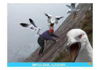 IMPULSAR, AJUDAR...
 