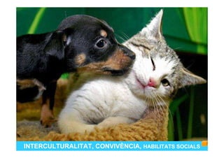 INTERCULTURALITAT, CONVIVÈNCIA, HABILITATS SOCIALS
 