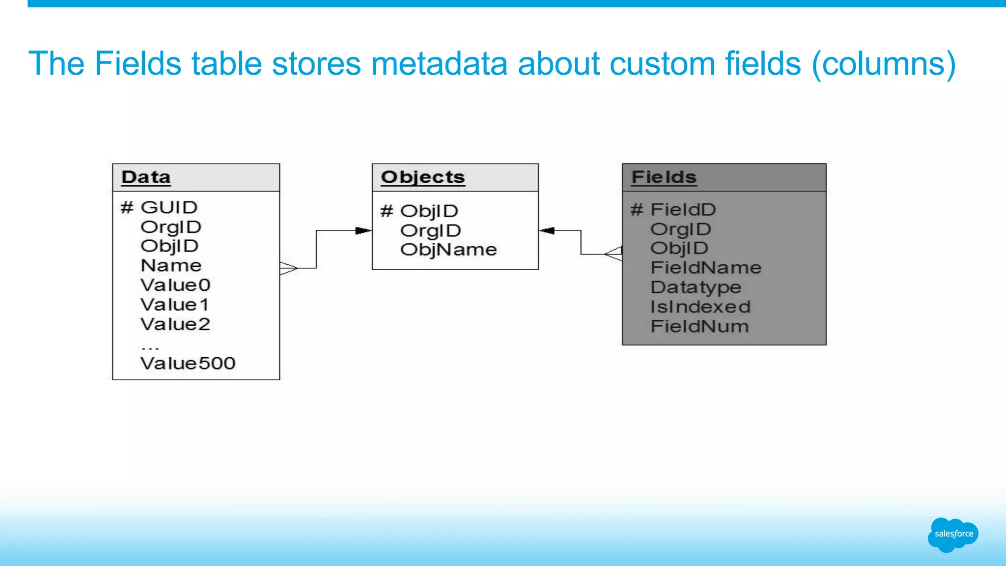 The Fields table stores metadata about custom fields (columns)
 