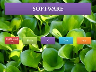 Processing
(P5)
Flash C C++ Java
 