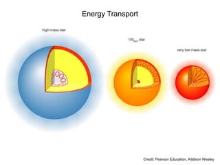 Credit: Pearson Education, Addison Wesley
Energy Transport
 