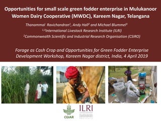 Opportunities for small scale green fodder enterprise in Mulukanoor
Women Dairy Cooperative (MWDC), Kareem Nagar, Telangana
Thanammal Ravichandran1, Andy Hall2 and Michael Blummel3
1,3International Livestock Research Institute (ILRI)
2Commonwealth Scientific and Industrial Research Organisation (CSIRO)
Forage as Cash Crop and Opportunities for Green Fodder Enterprise
Development Workshop, Kareem Nagar district, India, 4 April 2019
2018 Global Nutrition Symposium, January 2018, Addis Ababa, Ethiopia
 