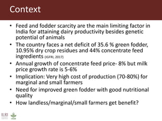Opportunities for small scale green fodder enterprise in Mulukanoor Women Dairy Cooperative (MWDC), Kareem Nagar, Telangana