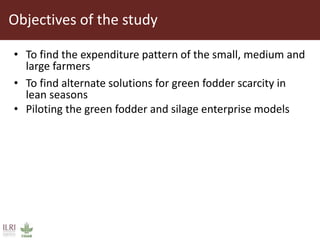 Opportunities for small scale green fodder enterprise in Mulukanoor Women Dairy Cooperative (MWDC), Kareem Nagar, Telangana