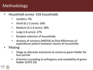 Opportunities for small scale green fodder enterprise in Mulukanoor Women Dairy Cooperative (MWDC), Kareem Nagar, Telangana