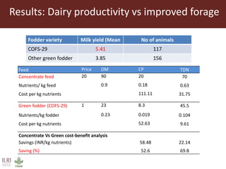 Opportunities for small scale green fodder enterprise in Mulukanoor Women Dairy Cooperative (MWDC), Kareem Nagar, Telangana