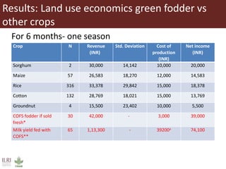Opportunities for small scale green fodder enterprise in Mulukanoor Women Dairy Cooperative (MWDC), Kareem Nagar, Telangana