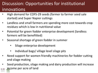 Opportunities for small scale green fodder enterprise in Mulukanoor Women Dairy Cooperative (MWDC), Kareem Nagar, Telangana