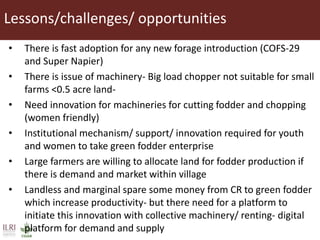 Opportunities for small scale green fodder enterprise in Mulukanoor Women Dairy Cooperative (MWDC), Kareem Nagar, Telangana