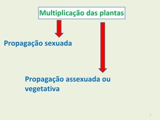 1
Multiplicação das plantas
Propagação sexuada
Propagação assexuada ou
vegetativa
 