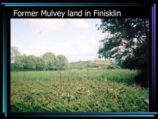 Former Mulvey land in Finisklin 