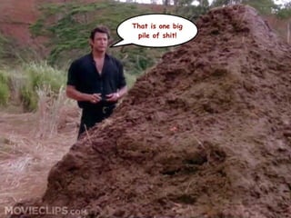 That is one big
pile of shit!
 