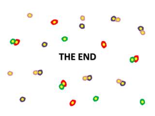 THE END