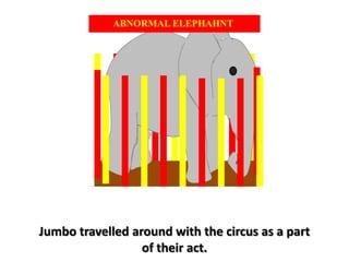 ABNORMAL ELEPHAHNTJumbo travelled around with the circus as a part of their act. 