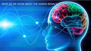 WHAT DO WE KNOW ABOUT THE HUMAN BRAIN ?
 