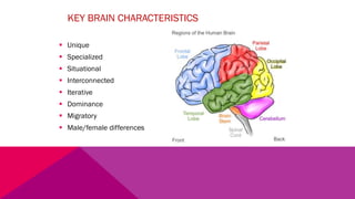 KEY BRAIN CHARACTERISTICS
§ Unique
§ Specialized
§ Situational
§ Interconnected
§ Iterative
§ Dominance
§ Migratory
§ Male/female differences
 