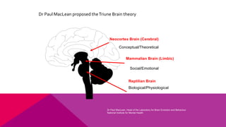 Reptilian Brain
Mammalian Brain (Limbic)
Neocortex Brain (Cerebral)
Biological/Physiological
Social/Emotional
Conceptual/Theoretical
Dr Paul MacLean, Head of the Laboratory for Brain Evolution and Behaviour
National Institute for Mental Health
Dr Paul MacLean proposed theTriune Brain theory
 