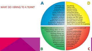 WHAT DO I BRING TO A TEAM?
 