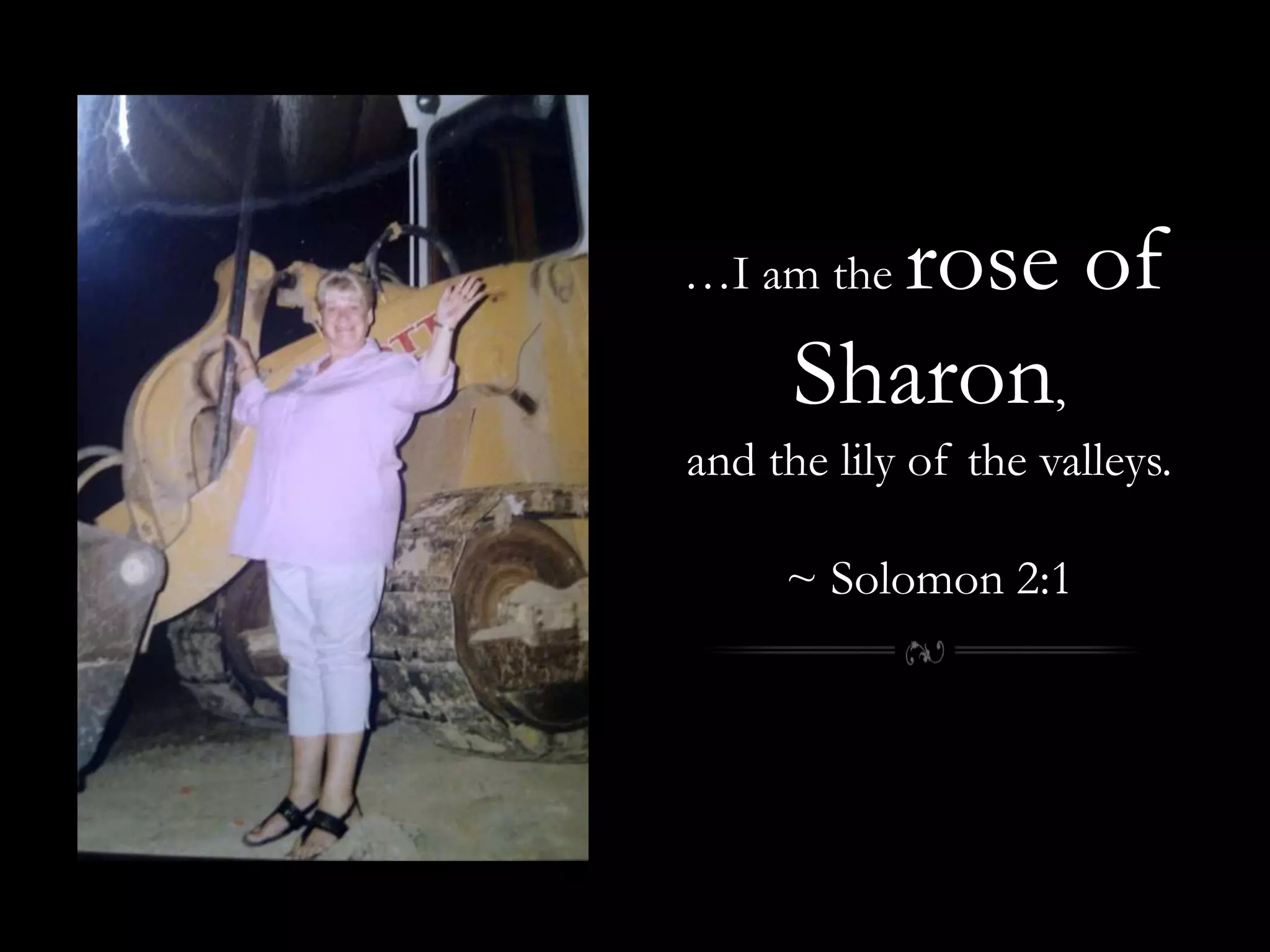 …I am the rose of Sharon, and the lily of the valleys.~ Solomon 2:1