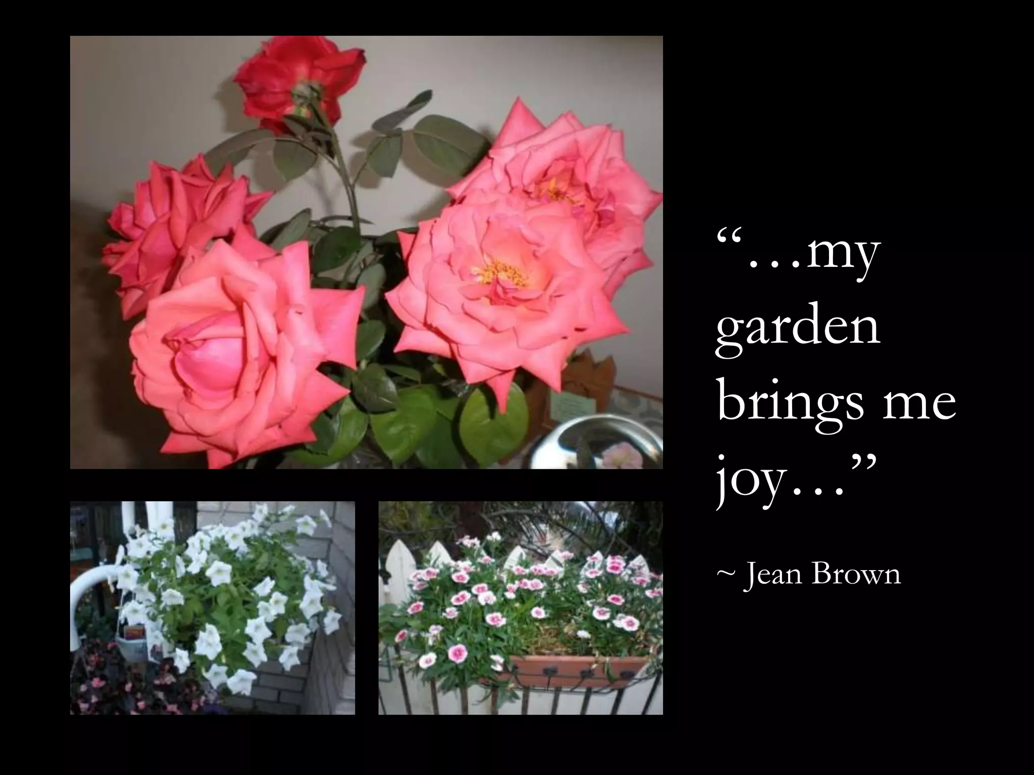 “…my garden brings me joy…”~ Jean Brown