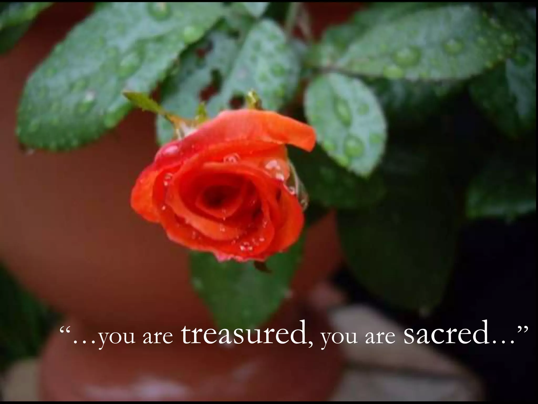 “…you are treasured, you are sacred…”