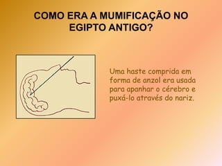 COMO ERA A MUMIFICAÇÃO NO EGIPTO ANTIGO?Um dos embalsamadores fazia um corte no lado esquerdo do corpo do embalsamado e removia os órgãos internos. Isso era importante porque essas partes do corpo são as primeiras a entrar em decomposição. O coração – reconhecido como o centro da inteligência e força da vida – era mantido no lugar mas o cérebro era retirado através do nariz. 