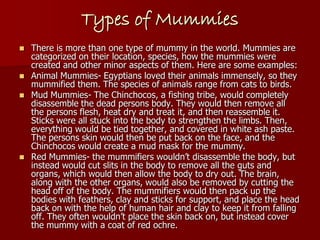 Types of Mummies
   There is more than one type of mummy in the world. Mummies are
    categorized on their location, species, how the mummies were
    created and other minor aspects of them. Here are some examples:
   Animal Mummies- Egyptians loved their animals immensely, so they
    mummified them. The species of animals range from cats to birds.
   Mud Mummies- The Chinchocos, a fishing tribe, would completely
    disassemble the dead persons body. They would then remove all
    the persons flesh, heat dry and treat it, and then reassemble it.
    Sticks were all stuck into the body to strengthen the limbs. Then,
    everything would be tied together, and covered in white ash paste.
    The persons skin would then be put back on the face, and the
    Chinchocos would create a mud mask for the mummy.
   Red Mummies- the mummifiers wouldn’t disassemble the body, but
    instead would cut slits in the body to remove all the guts and
    organs, which would then allow the body to dry out. The brain,
    along with the other organs, would also be removed by cutting the
    head off of the body. The mummifiers would then pack up the
    bodies with feathers, clay and sticks for support, and place the head
    back on with the help of human hair and clay to keep it from falling
    off. They often wouldn’t place the skin back on, but instead cover
    the mummy with a coat of red ochre.
 