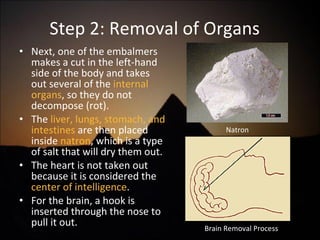 Next, one of the embalmers makes a cut in the left-hand side of the body and takes out several of the  internal organs , so they do not decompose (rot).  The  liver, lungs, stomach, and intestines  are then placed inside  natron , which is a type of salt that will dry them out. The heart is not taken out because it is considered the  center of intelligence . For the brain, a hook is inserted through the nose to pull it out. Step 2: Removal of Organs Natron Brain Removal Process 